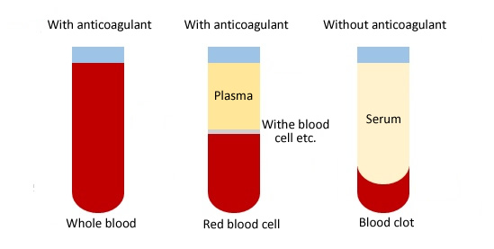 Difference between whole blood plasma and serum