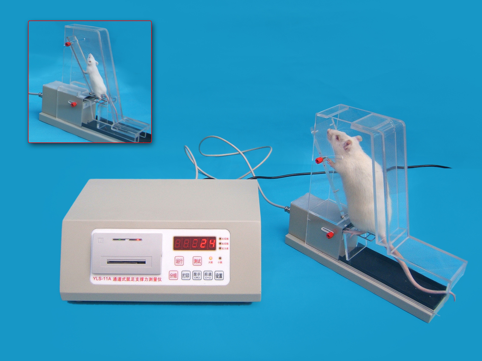 Limb force test and measure gauge