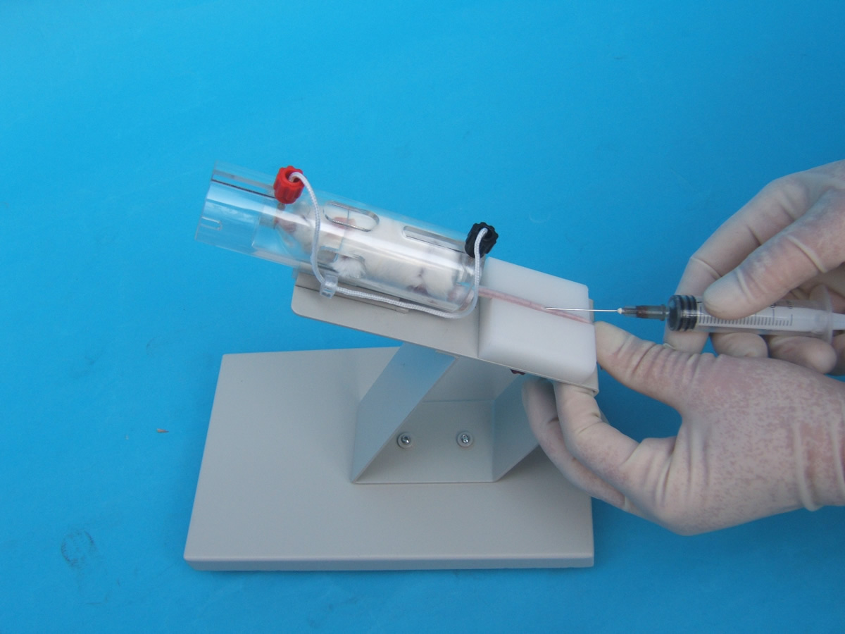 Mouse tail vein injection holder