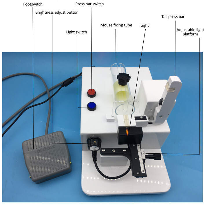 Visual vein injection platform